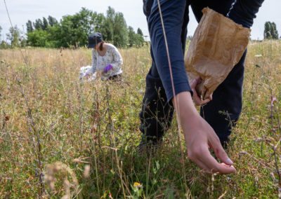 EPA Paris-Saclay / Contextes
