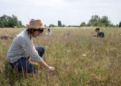 EPA Paris-Saclay / Contextes